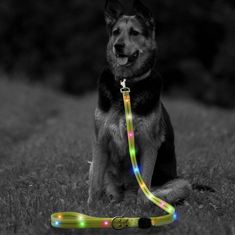 LED dog leash