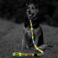 Load image into Gallery viewer, LED dog leash