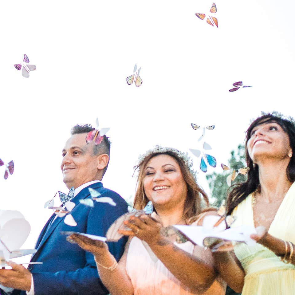 flying magic butterfly®