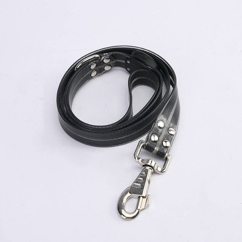 LED dog leash