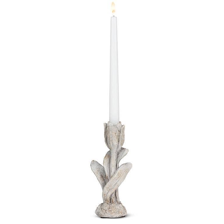 Tulip Stem Taper Holder-8"H