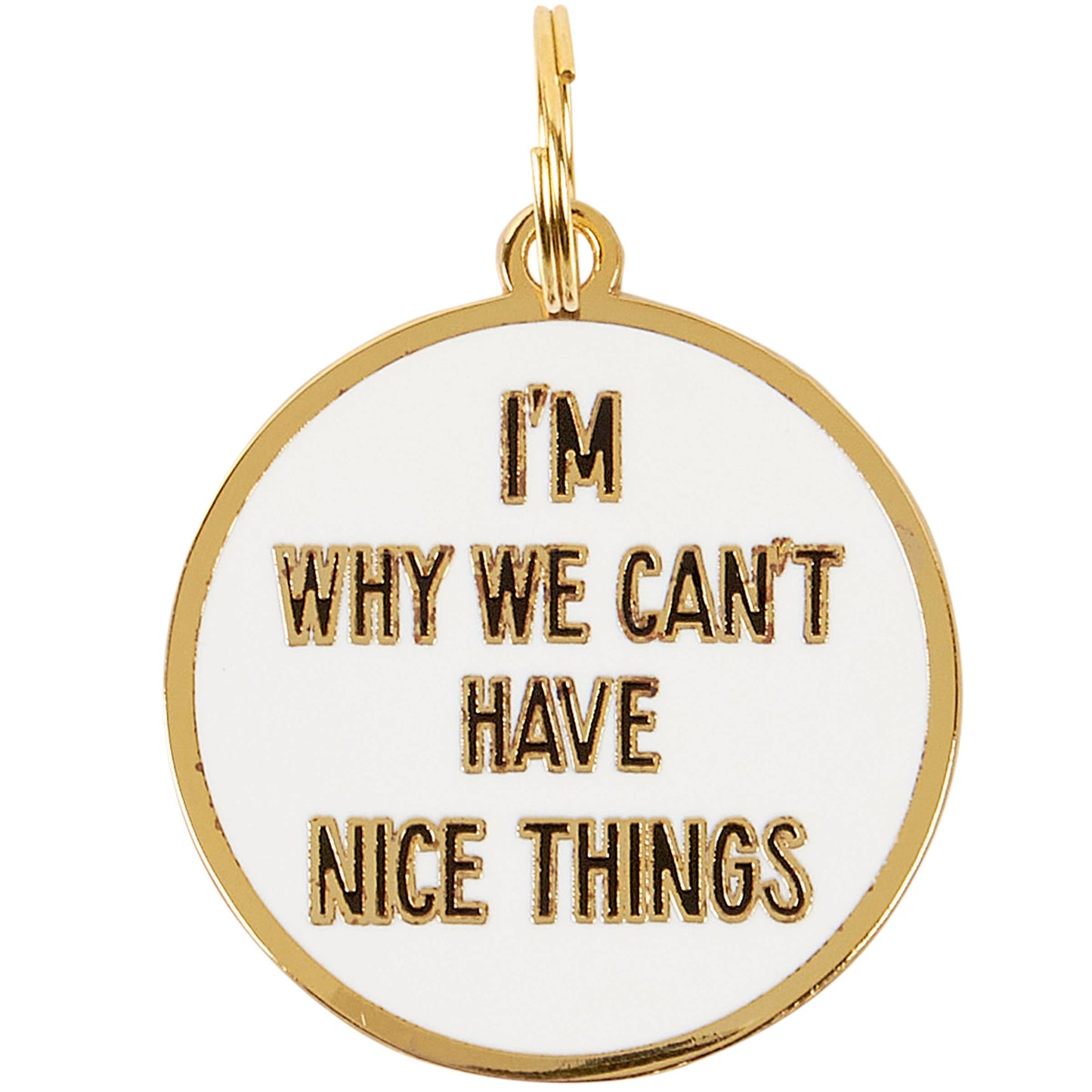 nice things pet collar charm
