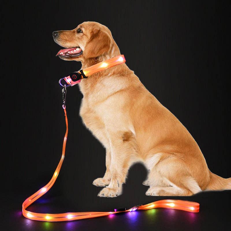 LED dog leash