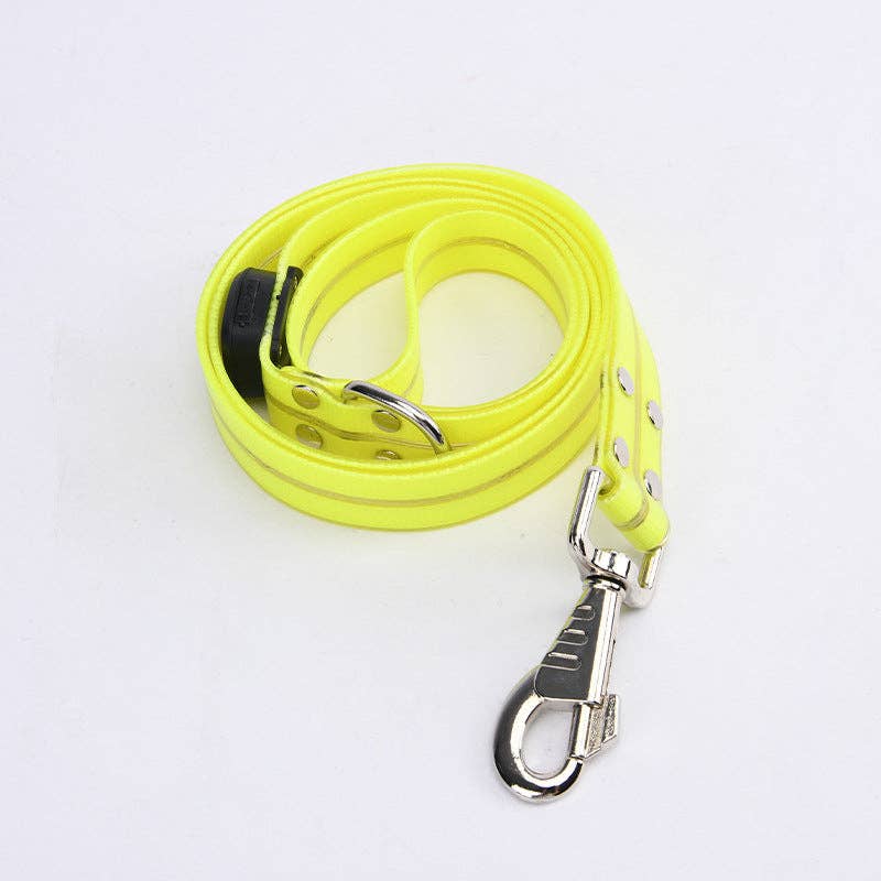 LED dog leash