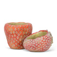 Load image into Gallery viewer, Laying Strawberry Planter
