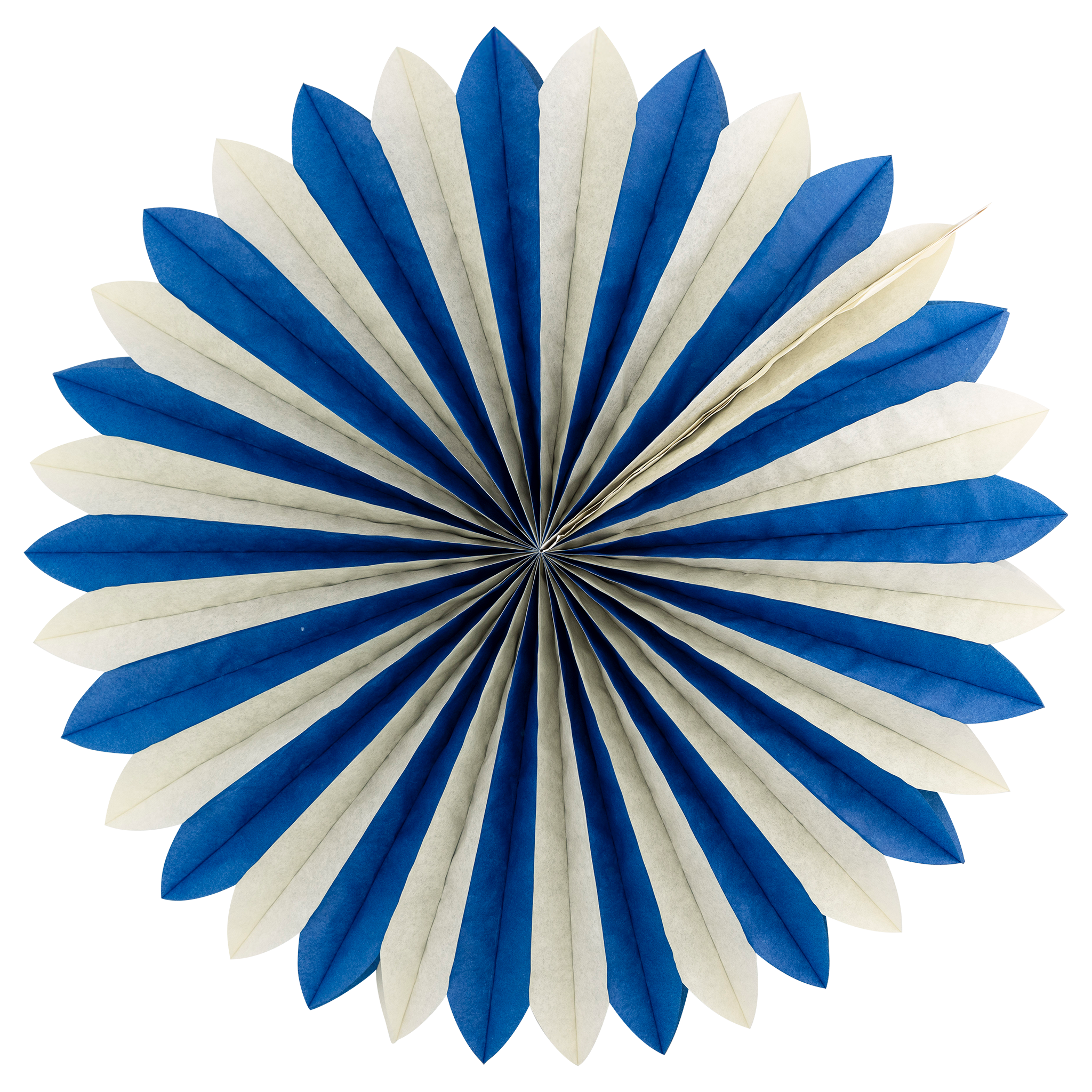 Multi Color Tissue Party Fans