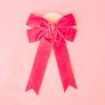 Load image into Gallery viewer, velvet bow
