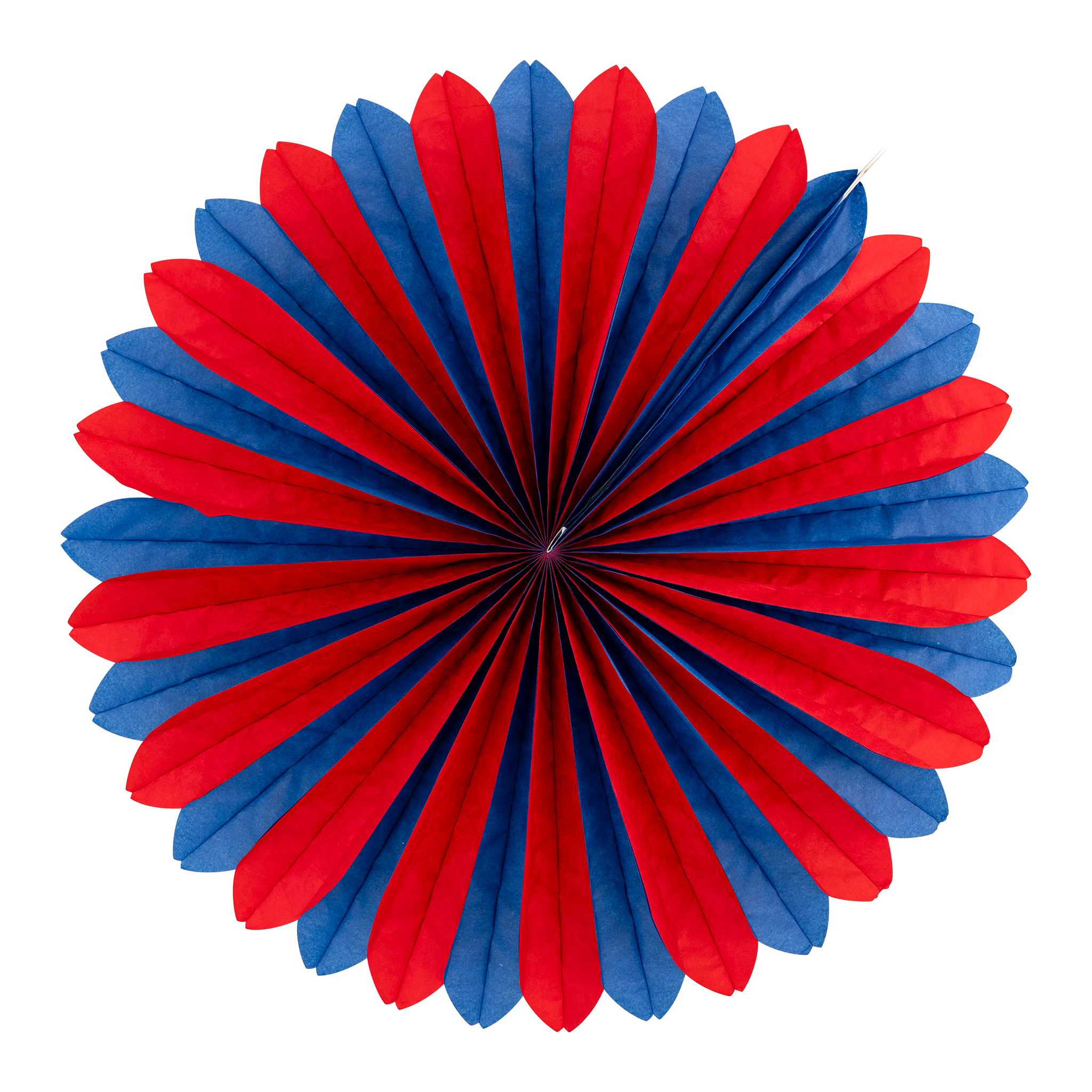 Multi Color Tissue Party Fans