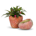 Load image into Gallery viewer, Small Strawberry Planter

