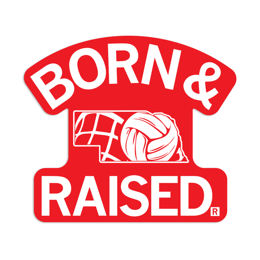 nebraska volleyball vinyl sticker