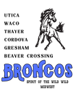 Load image into Gallery viewer, BRONCO TOWNS PRE-ORDER - KIDS TEE
