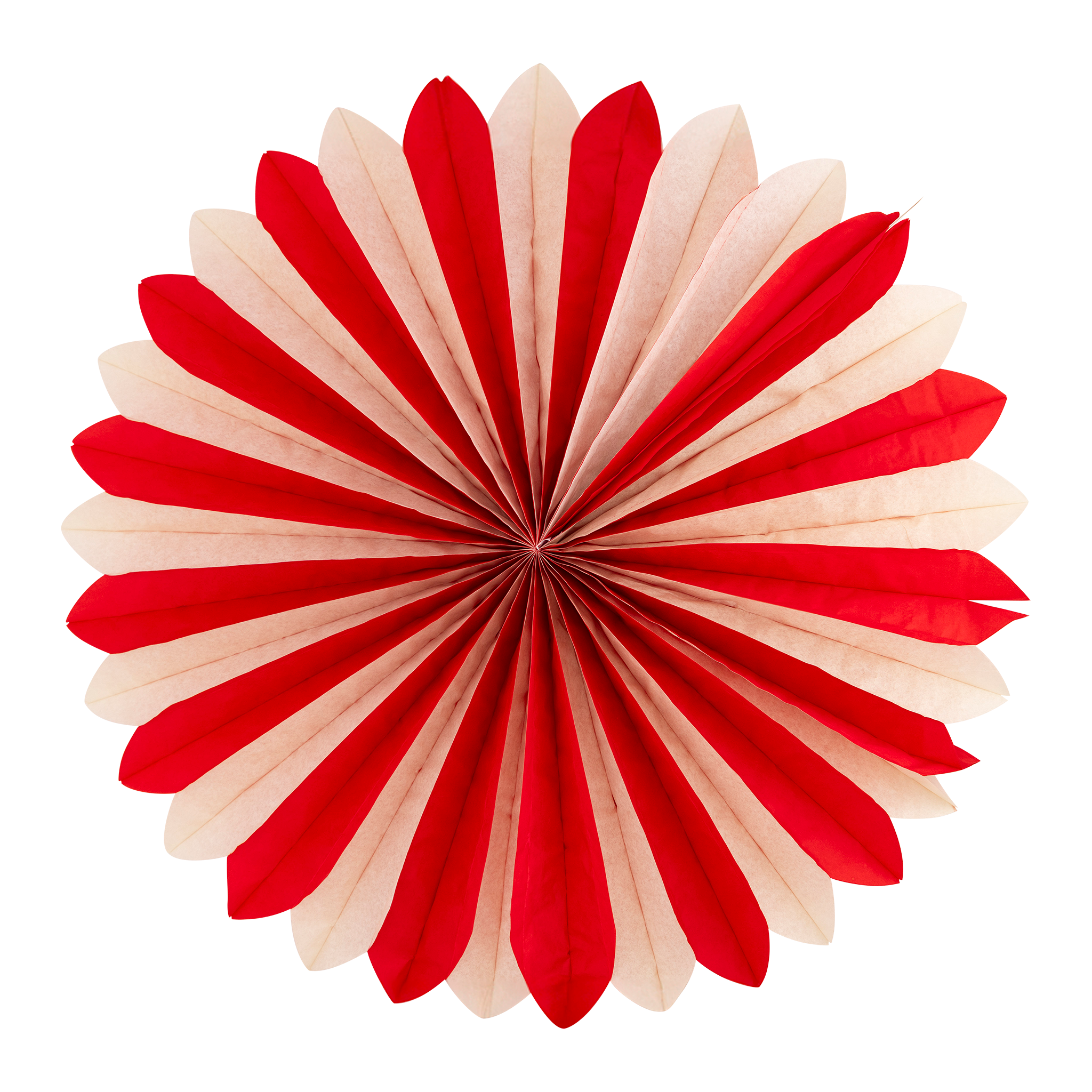 Multi Color Tissue Party Fans