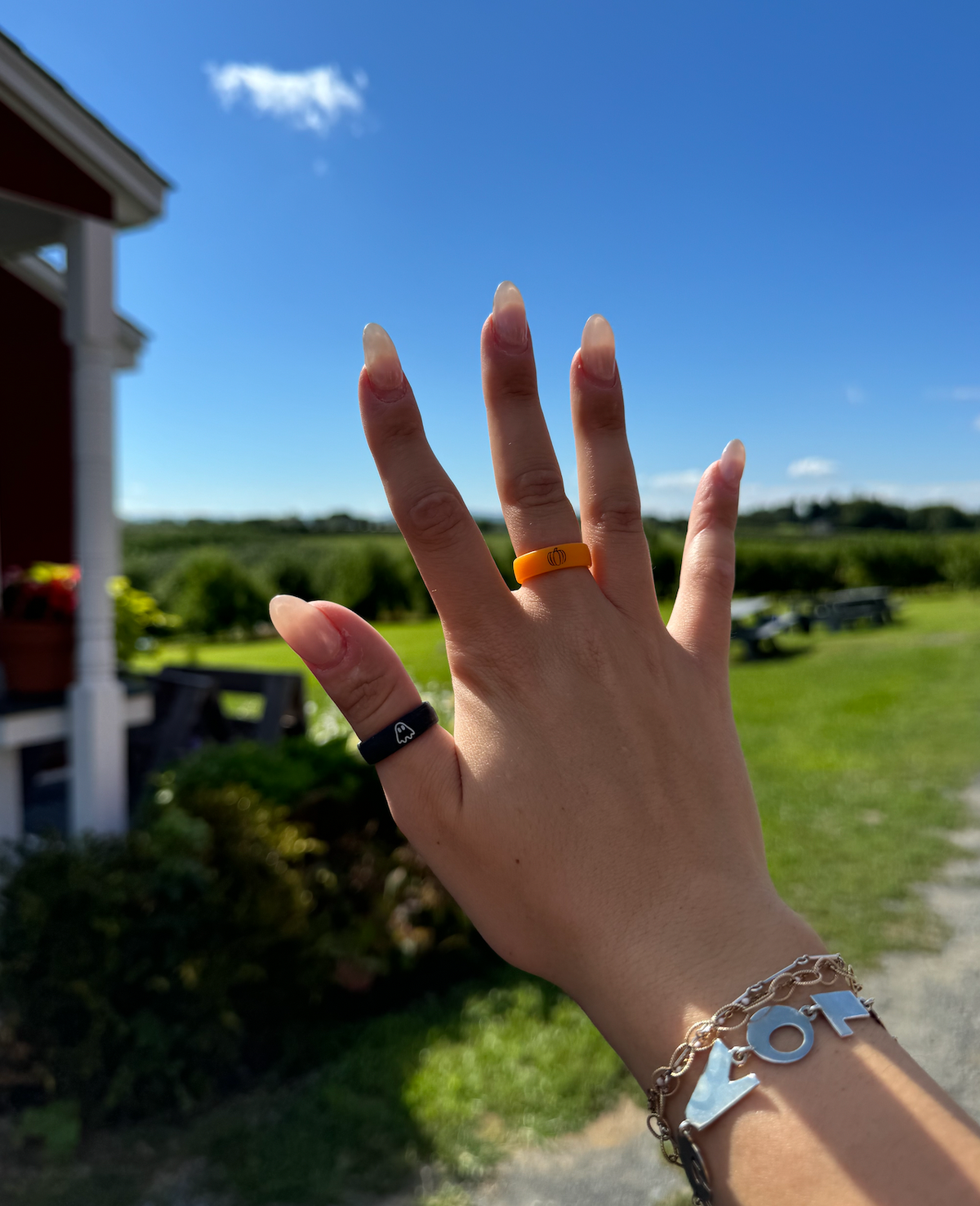 Flip Reversible ghost and spooky ring black ring