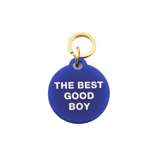 the best good boy acrylic pet tag