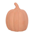 Load image into Gallery viewer, small terracotta pumpkin
